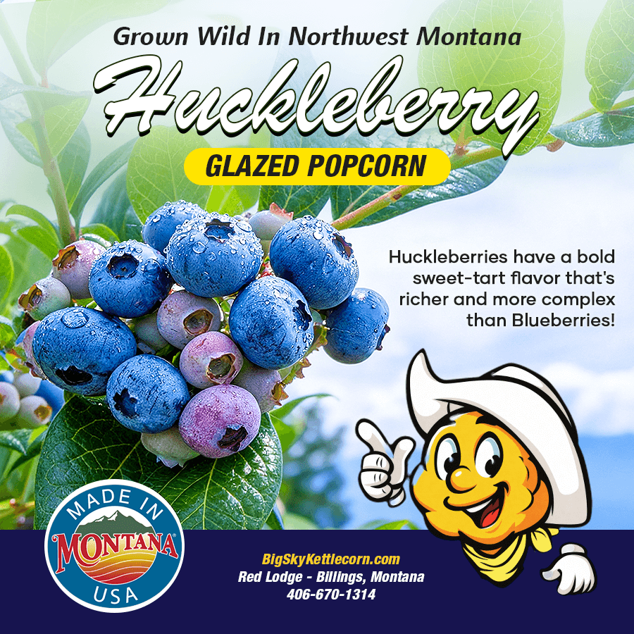 3inchquare blueberry (1)